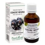 Coacaz negru extract din muguri PlantExtrakt