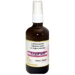 Dezinfectant maini antiviral cu argint coloidal  spray 100 ml Aghoras